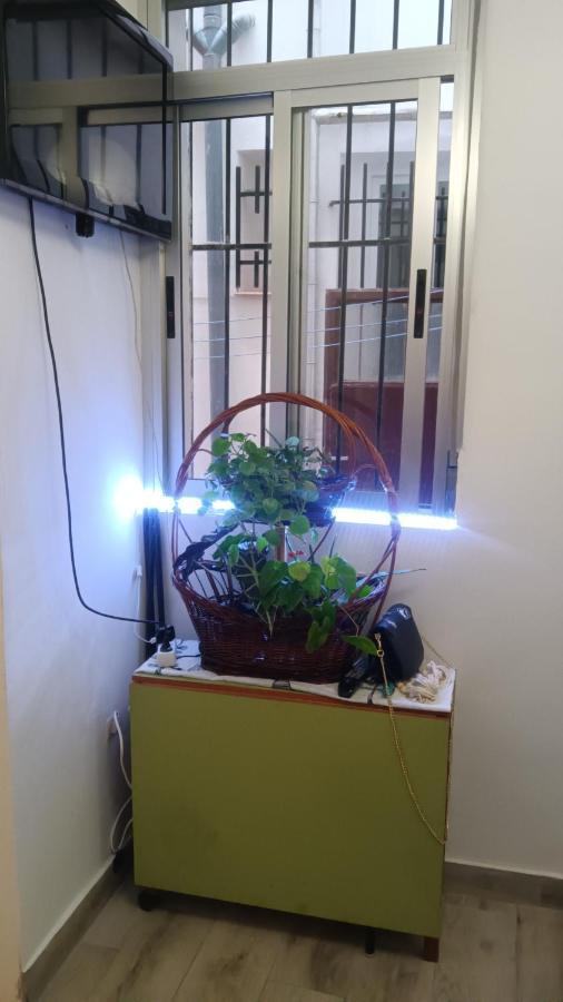 Apartamento Alicia Madrid Dış mekan fotoğraf